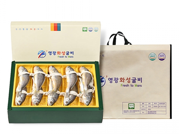 영광 법성포 국내산  참조기 굴비  선물용굴비 4호~7호