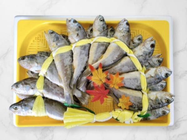 (그린영광굴비) 영광녹차굴비 장대7호(2.0kg 내외, 20미)
