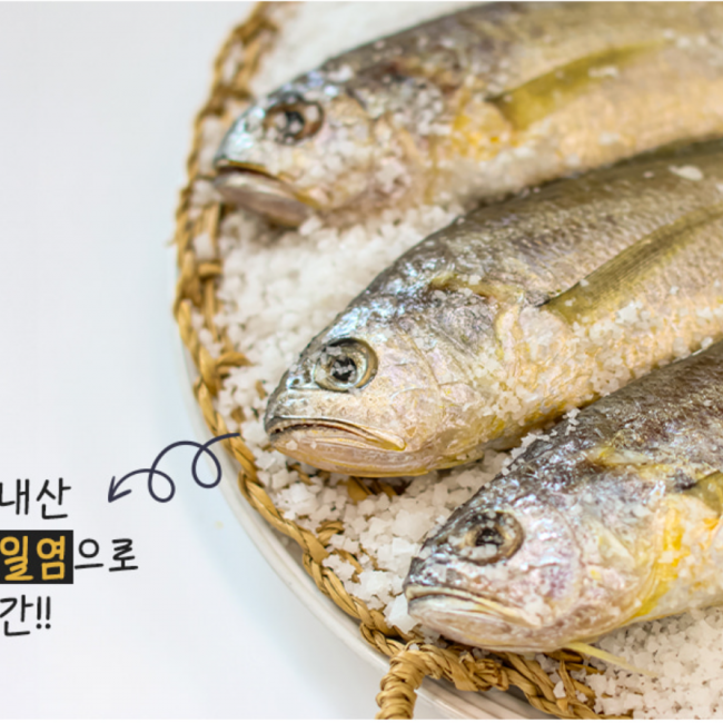 영광 법성포 국내산  참조기 굴비  선물용굴비 4호~7호