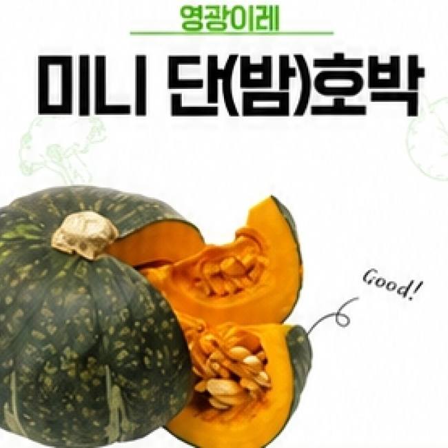 미니단호박 (밤호박 )5키로