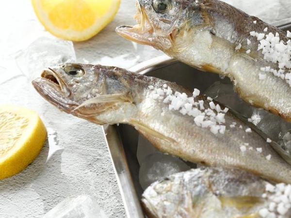 (옥당골신선유) 밥도둑 영광 참굴비 4호 - 20미(1.5Kg내외)