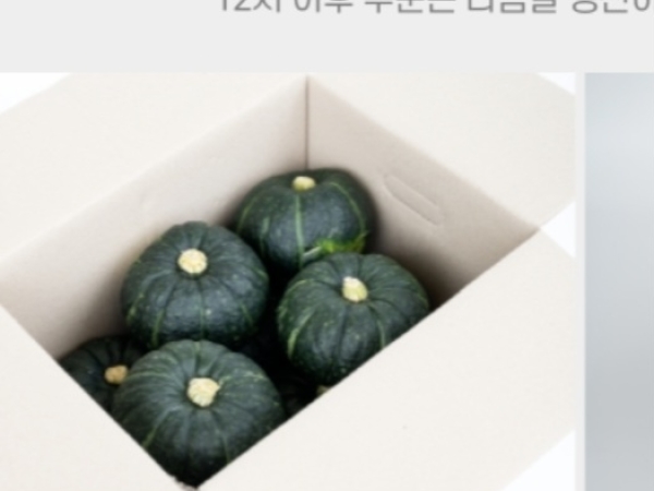 미니단호박 5키로