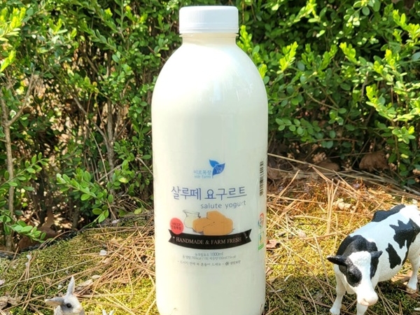 (미르목장) 살루떼 오리지널 수제 요거트  1000ml / 500ml / 150ml 