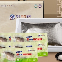 (영광화성굴비)영광 법성포 찐부세보리굴비  2호(5미)   두절 ,내장제거   28~30cm (또는 180~210g 내외)