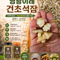 건초석잠