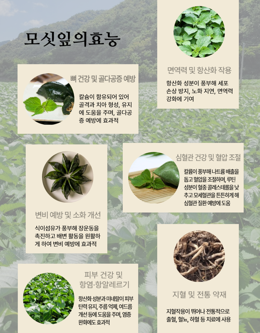 (낙원떡집)모싯잎(생)송편