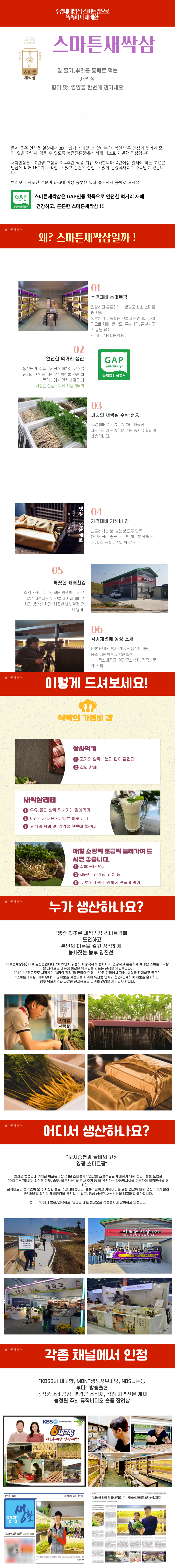 이로운세상 수경재배 새싹삼  100뿌리 선물용
