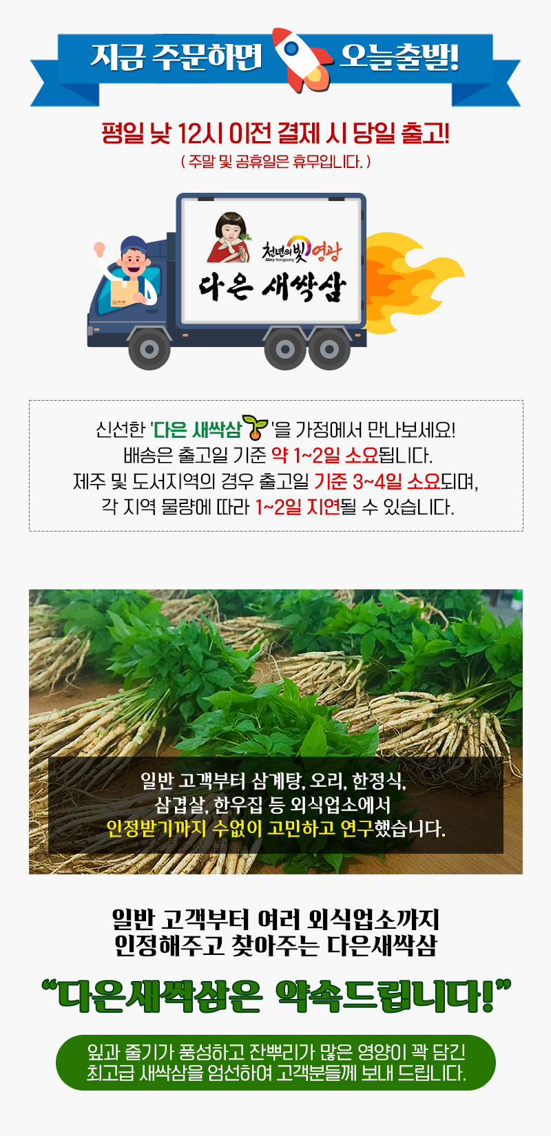 (다은새싹삼) 영광 다은 새싹삼 업소용 미니100뿌리 (일반포장)