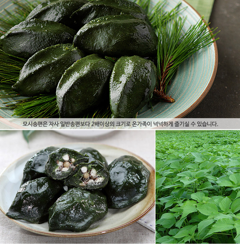 (떡사랑모시송편) 영광 특산품 모시송편 & 개떡