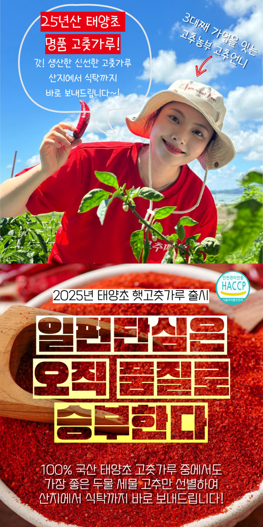 (고추마을) [24년산 국내산 햇고추] 일편단심 태양초 햇고춧가루 500G 한근