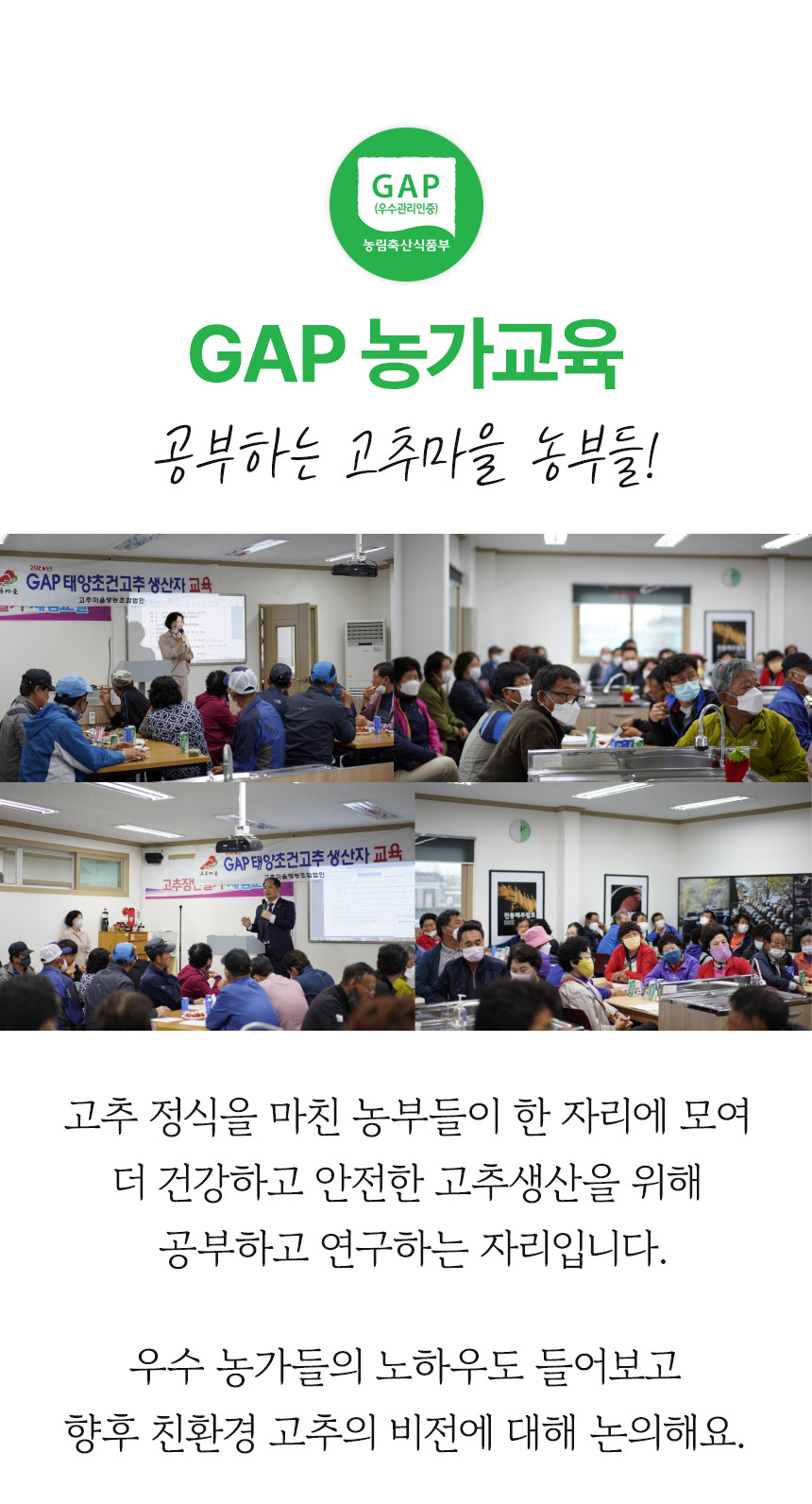 (고추마을) [24년산 국내산 햇고추] 일편단심 태양초 햇고춧가루 500G 한근