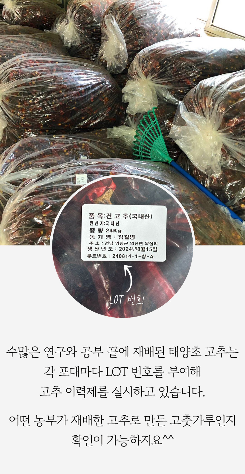 (고추마을) [24년산 국내산 햇고추] 일편단심 태양초 햇고춧가루 500G 한근
