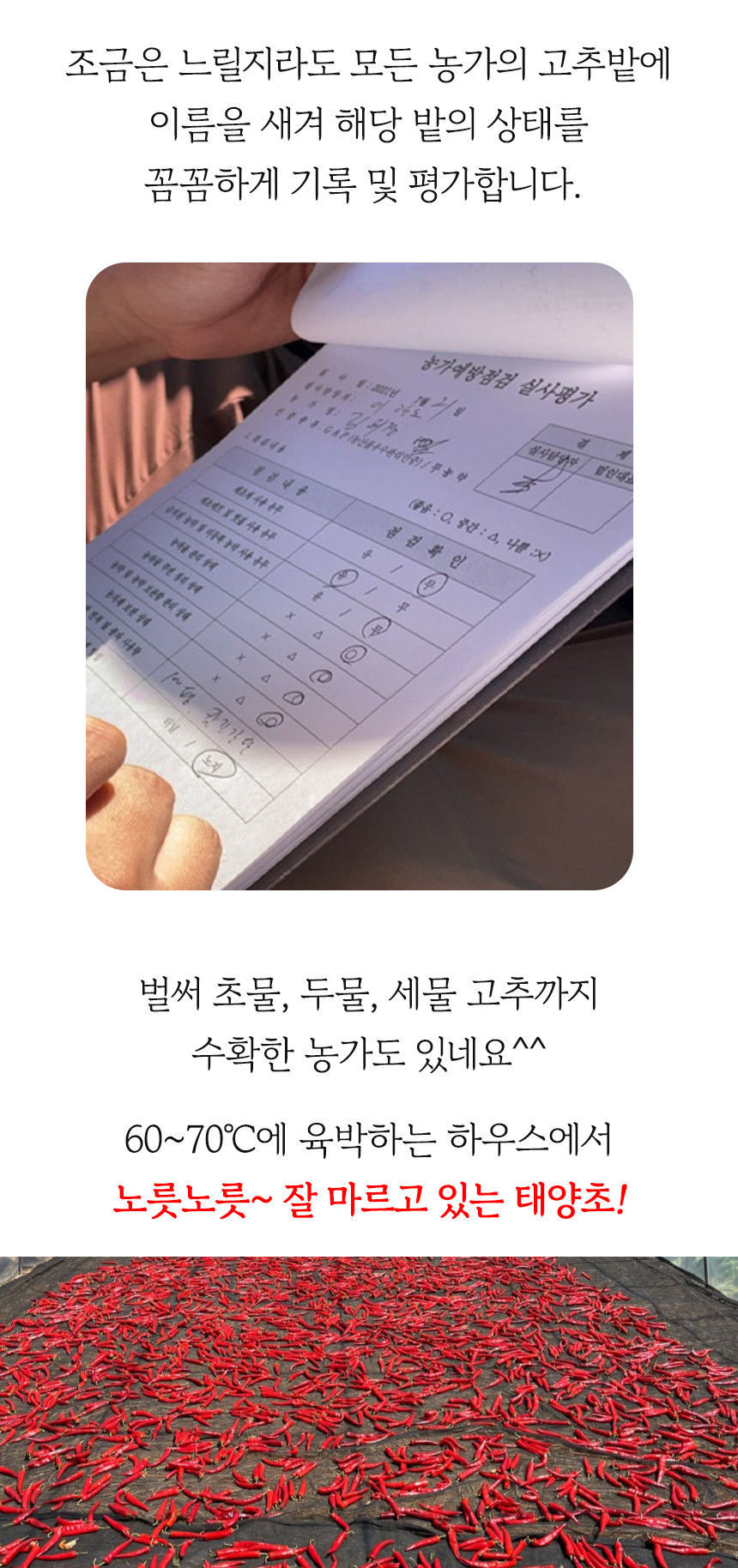 (고추마을) [24년산 국내산 햇고추] 일편단심 태양초 햇고춧가루 500G 한근