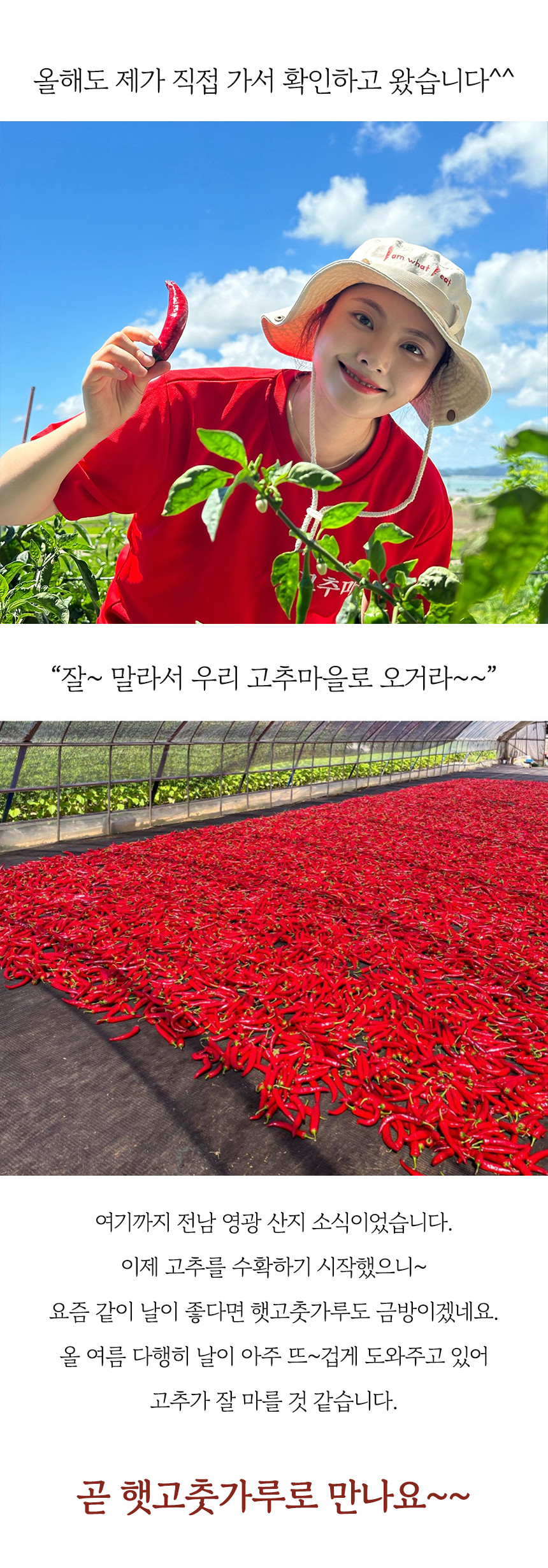 (고추마을) [24년산 국내산 햇고추] 일편단심 태양초 햇고춧가루 500G 한근