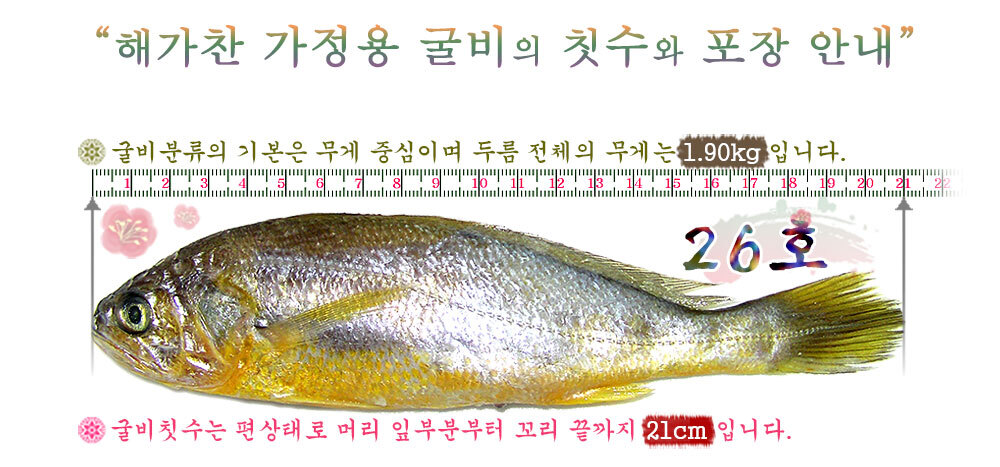 (해가찬굴비) 가정용 법성포굴비 26호
