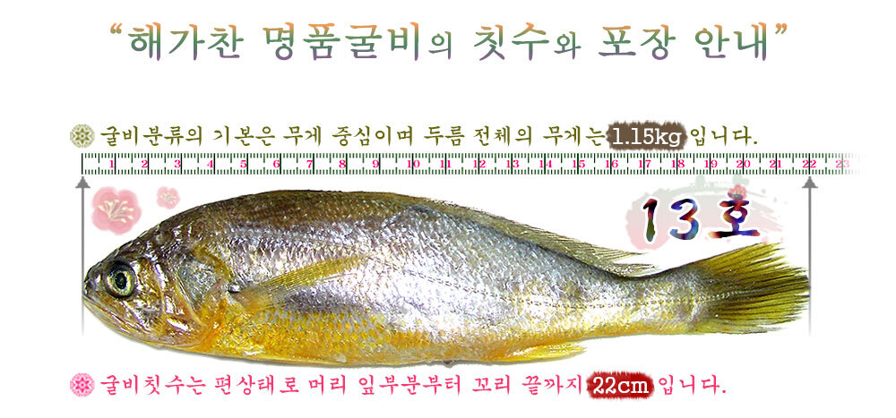 (해가찬굴비) 선물용 법성포굴비 명품 13호