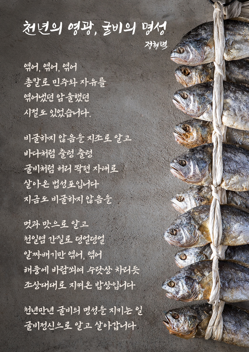(천년굴비) 영광보리굴비 선물세트 (특대)32cm 내외 (10미) 