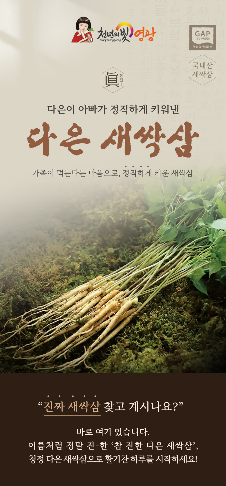(다은새싹삼) 새싹삼  미니 30뿌리 새싹 인삼 깨끗한 식당용 카페용 가정용 선물용