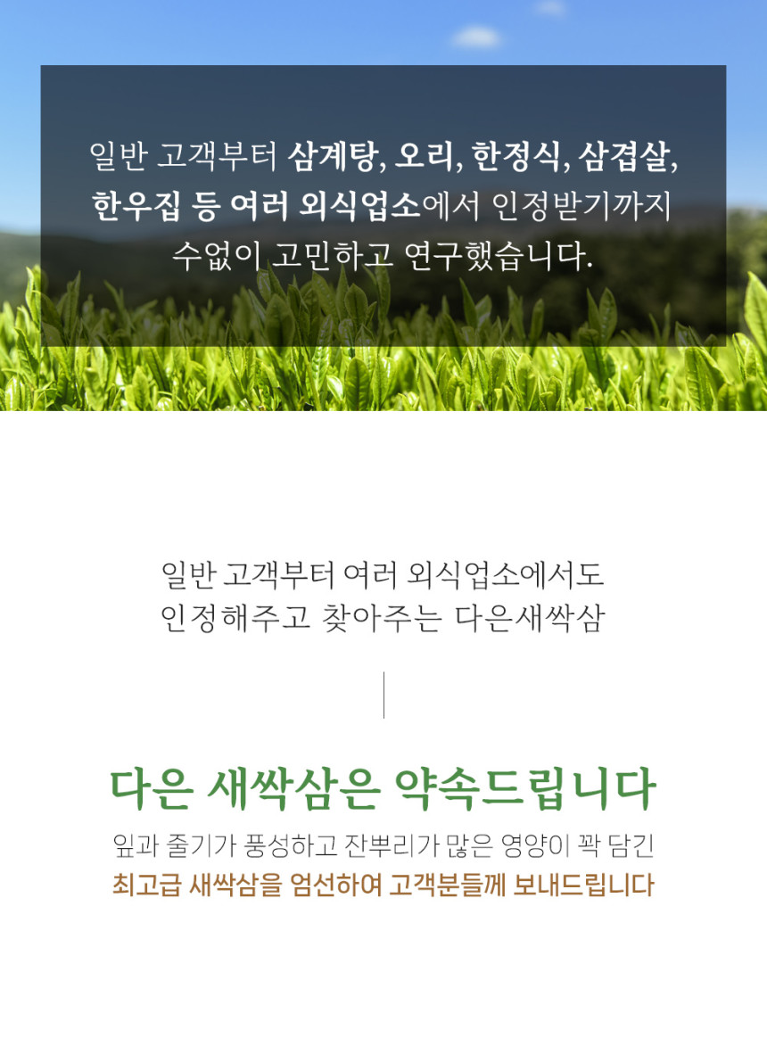 (다은새싹삼) 새싹삼  미니 30뿌리 새싹 인삼 깨끗한 식당용 카페용 가정용 선물용