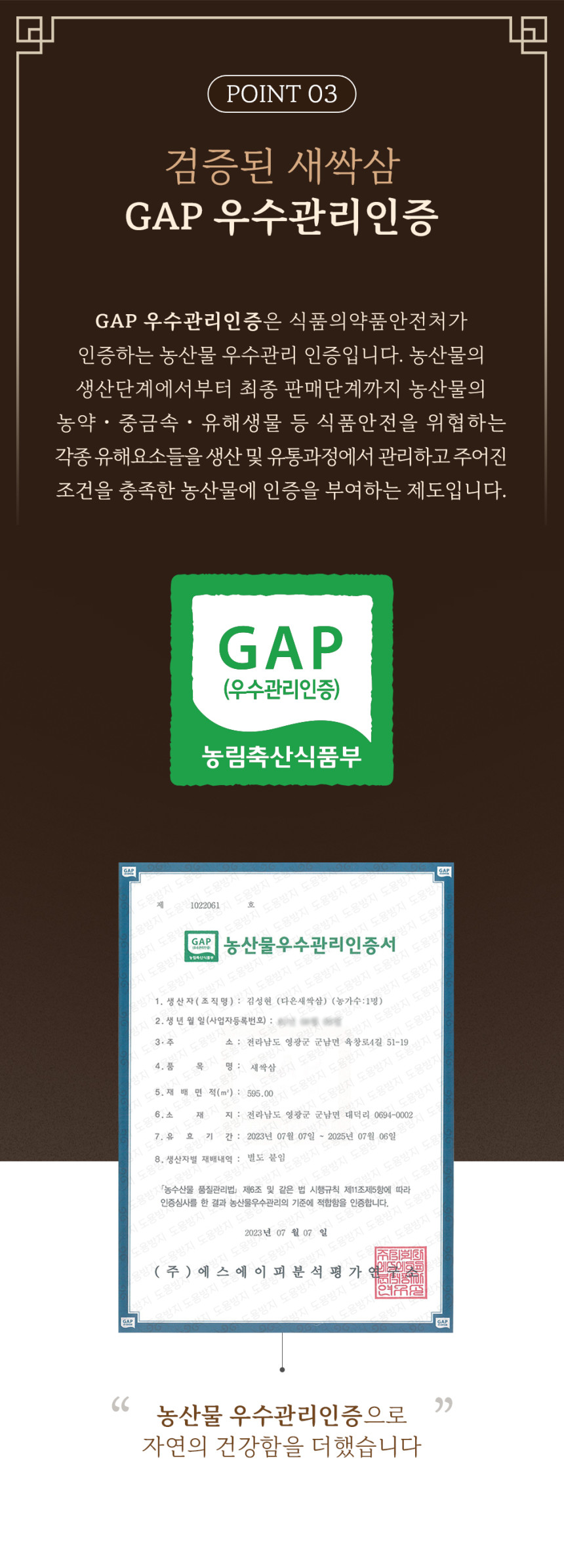 (다은새싹삼) 새싹삼  미니 30뿌리 새싹 인삼 깨끗한 식당용 카페용 가정용 선물용
