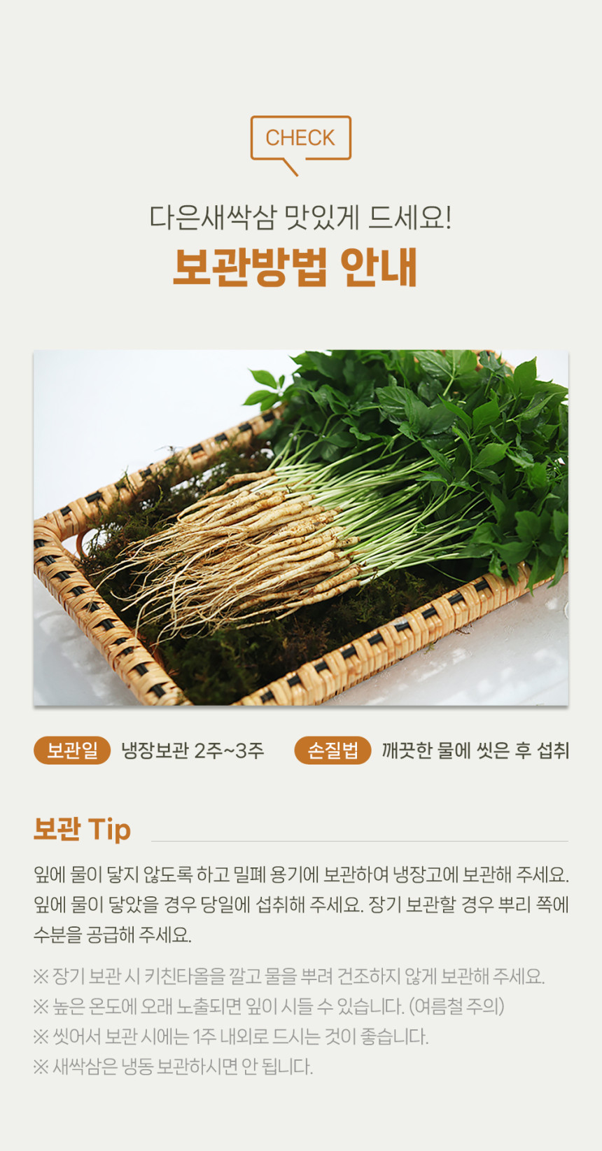 (다은새싹삼) 새싹삼  미니 30뿌리 새싹 인삼 깨끗한 식당용 카페용 가정용 선물용