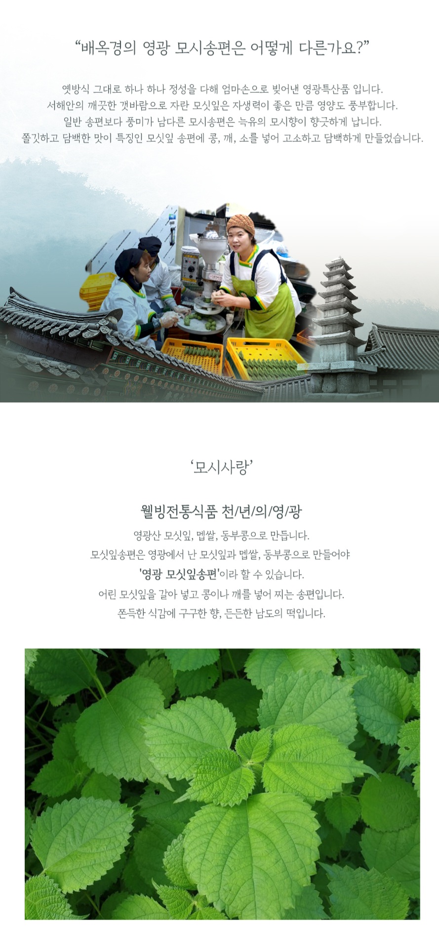 (모시사랑) 선물세트 01 [기피/흑임자]