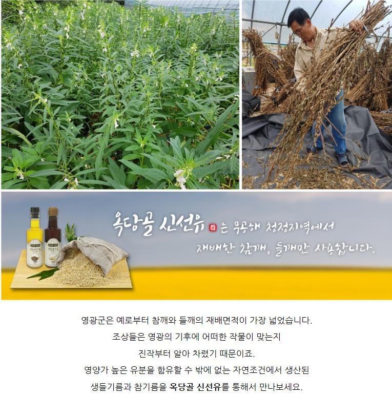 (옥당골신선유)저온착유 국내산 기름 3종 세트(180ml / 300ml)