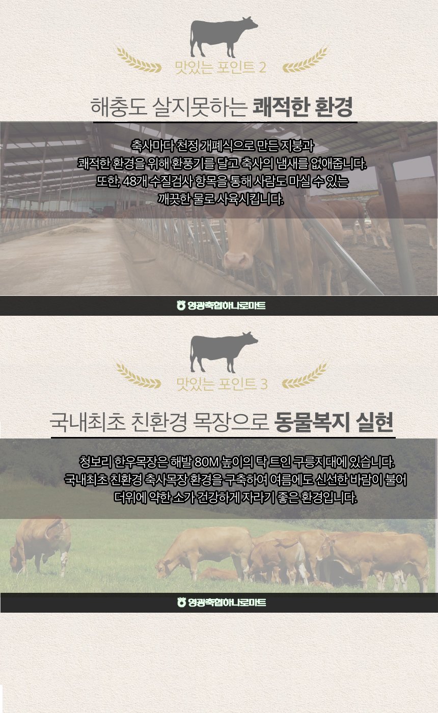 (영광축협) 냉장 1등급 한우 암소 등심300g