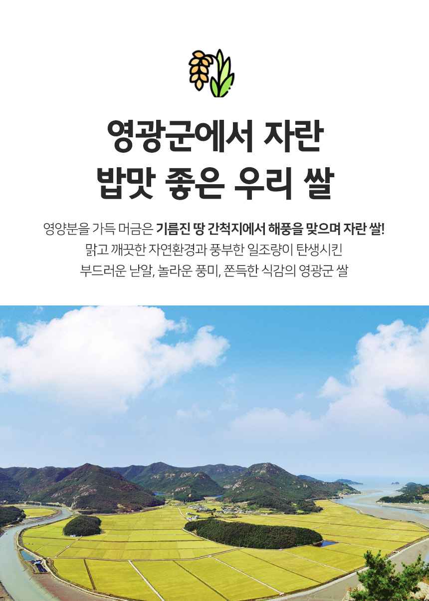 (영광군농협) 당일도정 25년 간척지 쌀 굴비골 진상미2호 5kg (1kg*5ae)