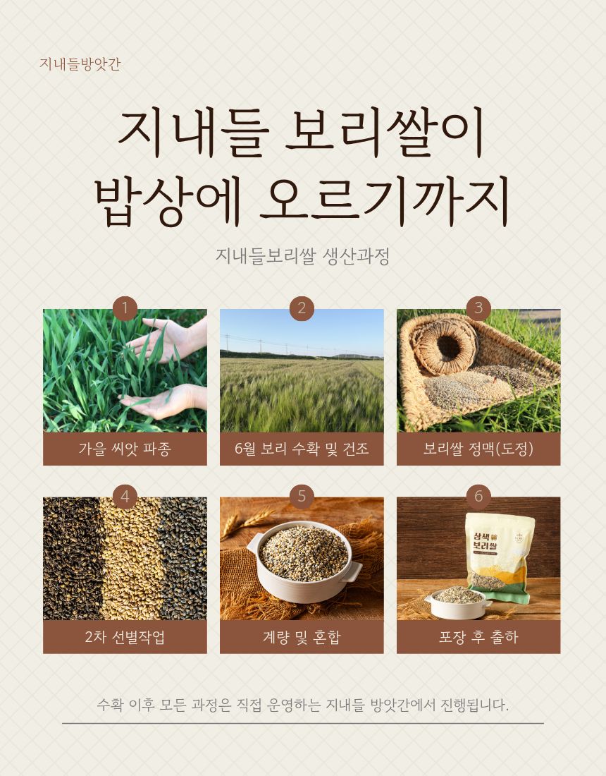 (지내들우리잡곡) 26년산 유기농 삼색보리쌀 500g 1개