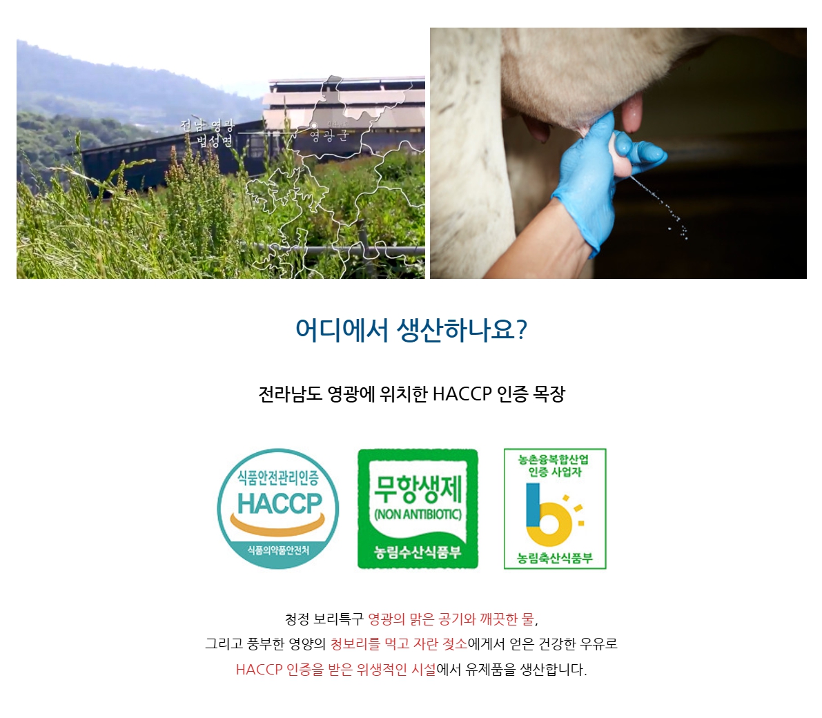 (미르목장) 살루떼  딸기요거트  1000ml / 500ml 