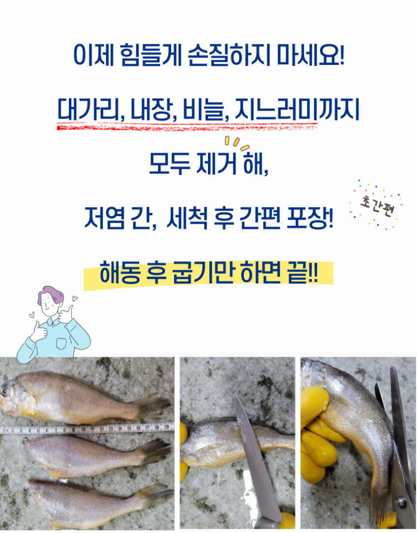 손질 굴비 대가리 내장 비늘제거 영광 법성포 두절 진공 참조기 특대 맘편한 [원산지:국산(전라남도 영광군) 등]