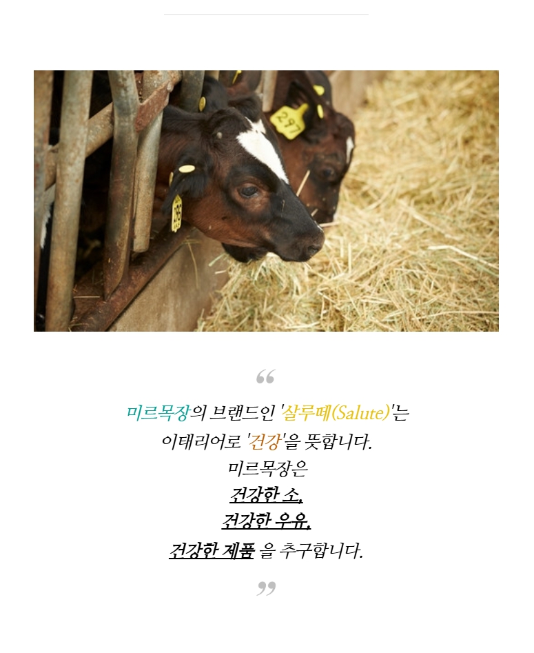 (미르목장) 살루떼 유제품 추석선물세트 1호 (요거트150ml x 20)