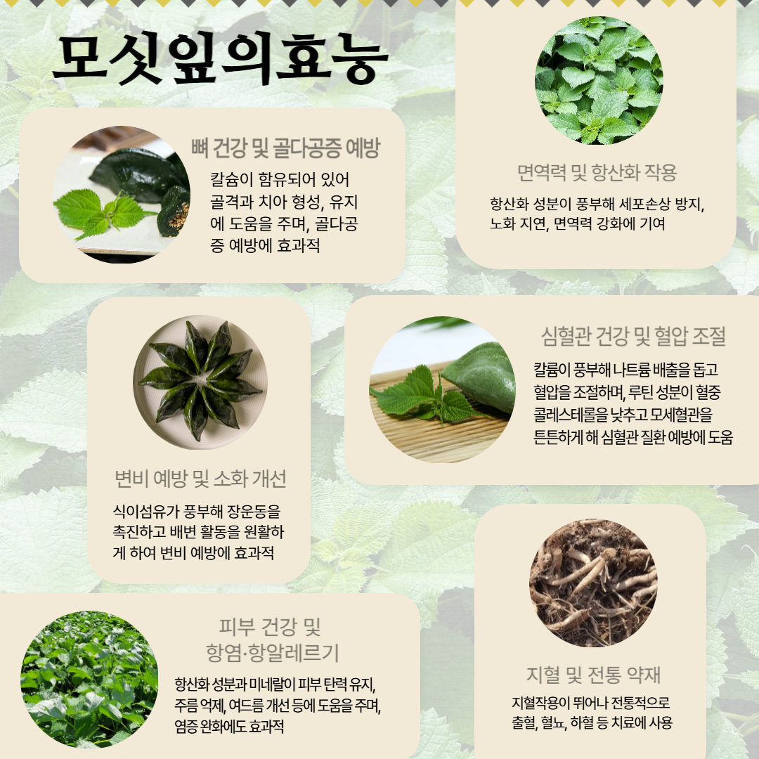 (낙원떡집)모싯잎(찐)송편 20개
