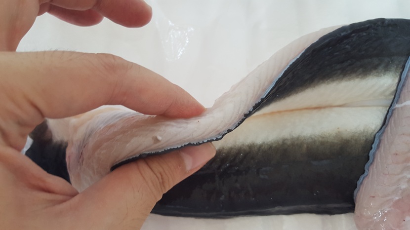 (애만장어) 국내산 무항생제 민물장어 1kg 
